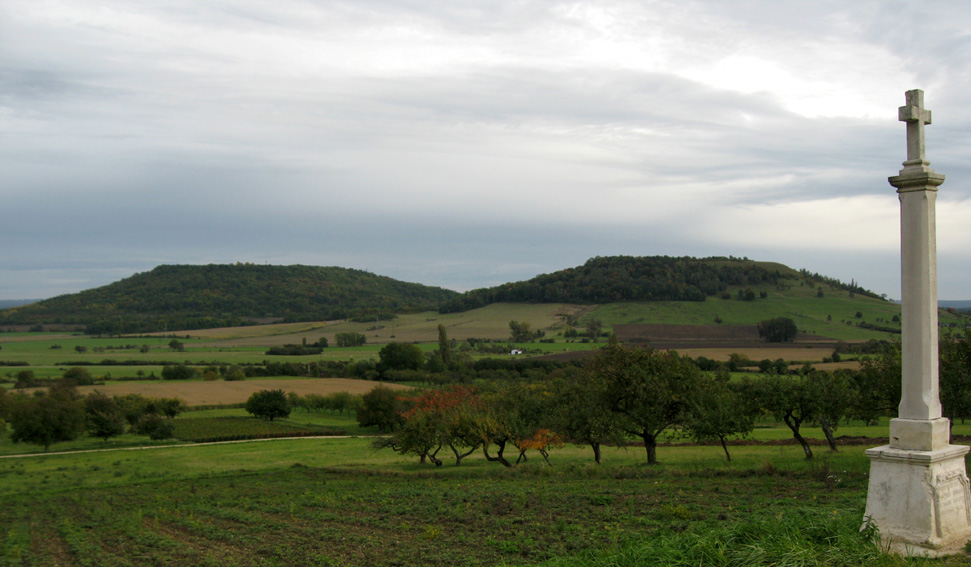 Barine