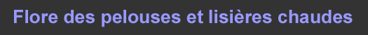 Pelouses