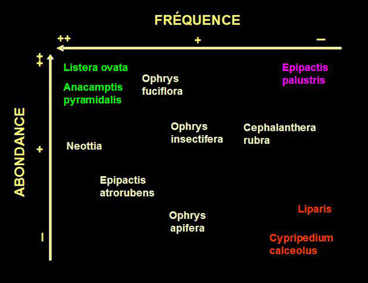 Frequence/Abondance