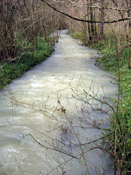 Vallon de l'Arrot